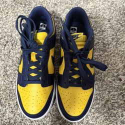 Nike 2021 Michigan Dunks