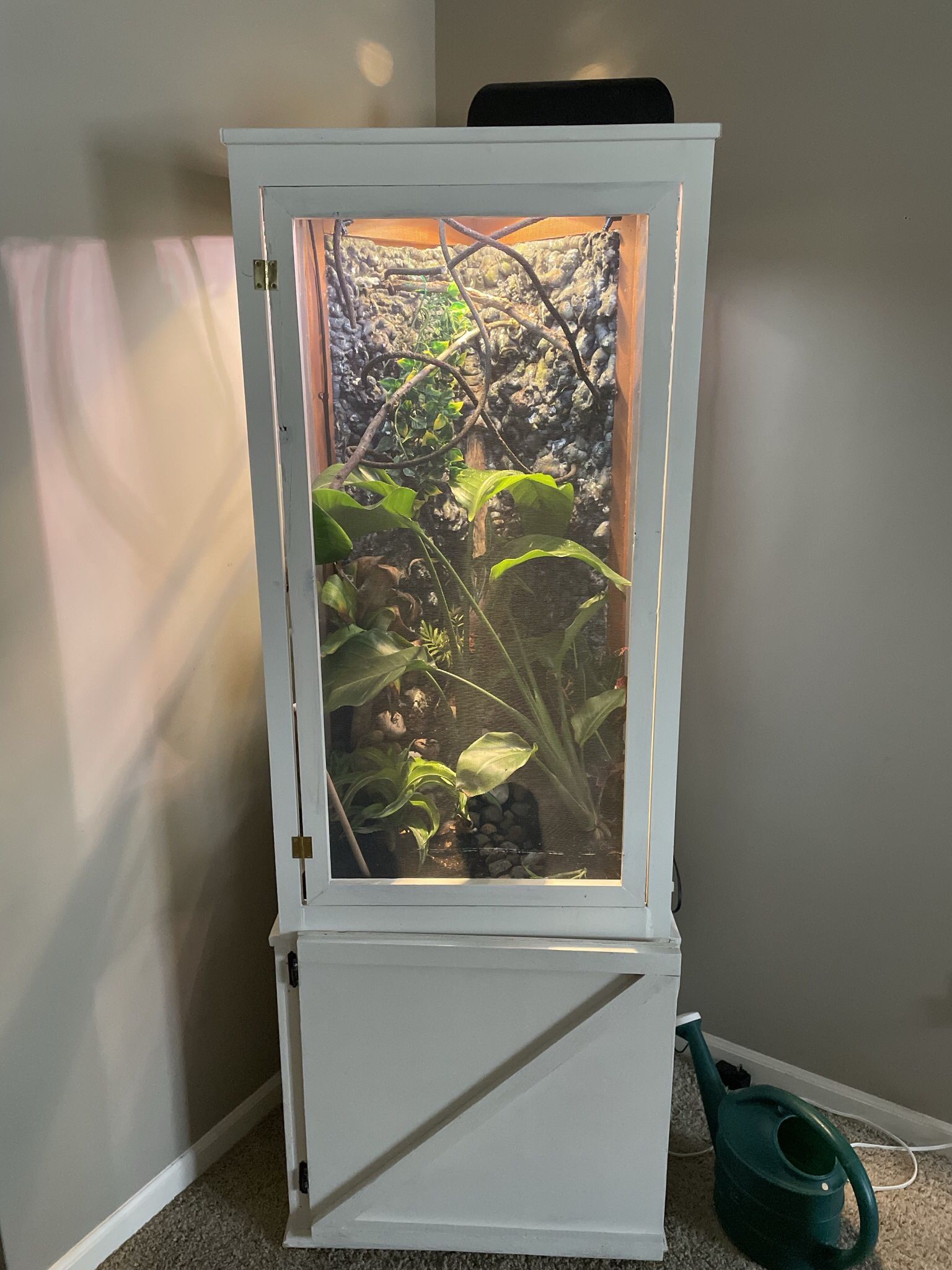 Reptile Enclosure