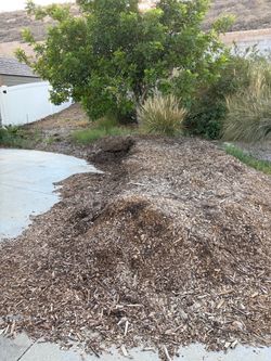 Free wood chips