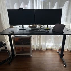 Eureka Ergonomic Desk 