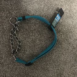 Dog Collar Brand New Never Used 