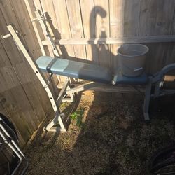 Weight Bench 