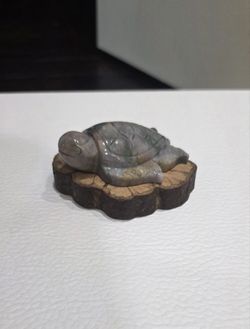 Crystal turtle