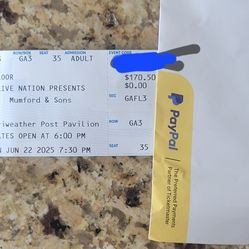 1 Mumford And Sons GA PIT Ticket June 22 Merriweather Post Pavilion  6/22