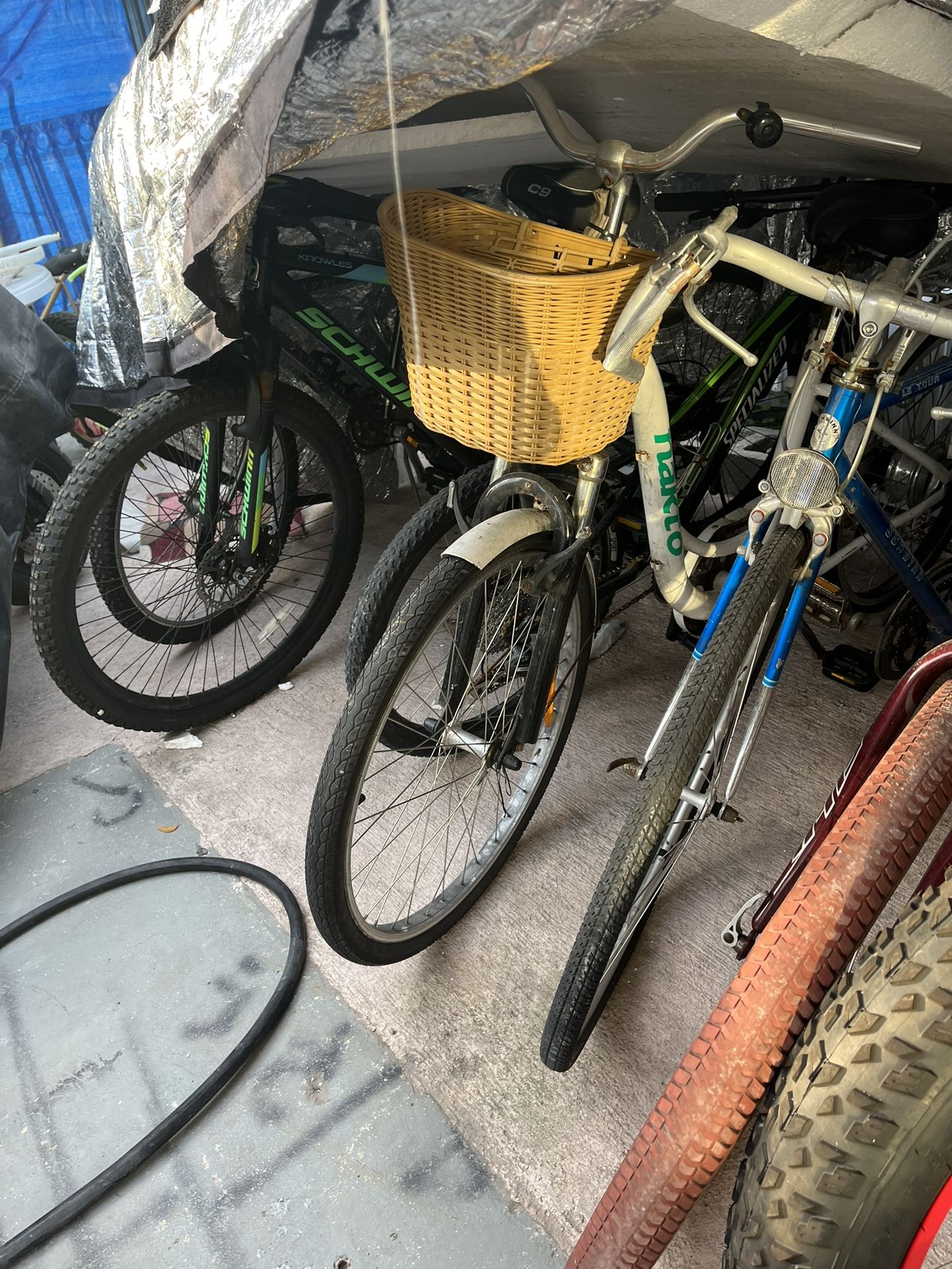 Bikes Of All Kinds Sports & Outdoors