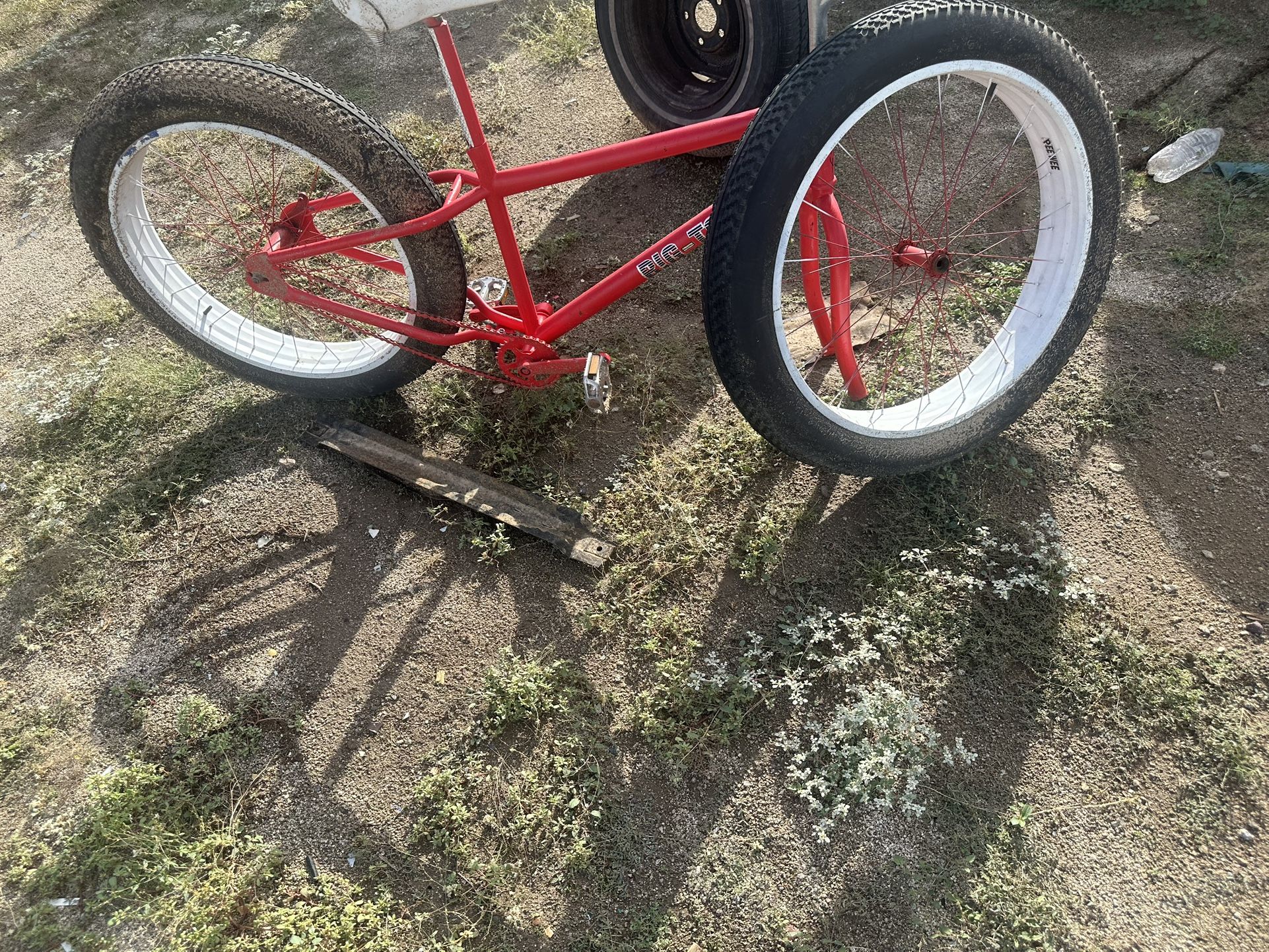 Fat Tired Bike
