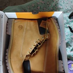 Timberlands 