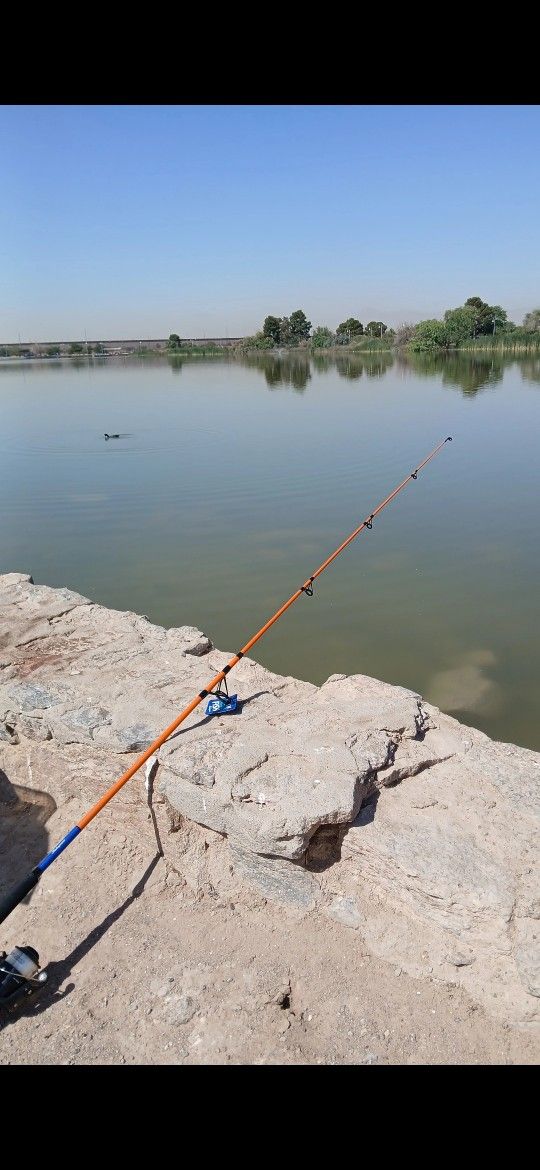 Catfish Fishing Pole
