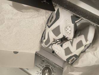 Jordan 6s
