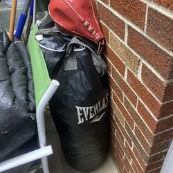 Punching Bag And Speed Ball