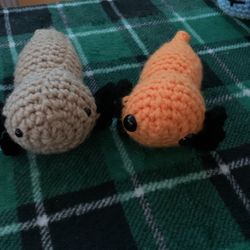 Axolotl 