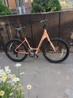 2018 Specialized Sport roll