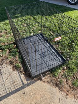 Xl Folding Dog Cage 42”