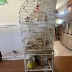 Bird cage and Toys