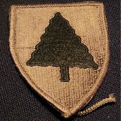 Vintage Collectable Vietnam Era Army 91st Infantry Brigade Patch subued