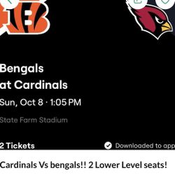 Cardinals vs Bengals Tickets Lower Level