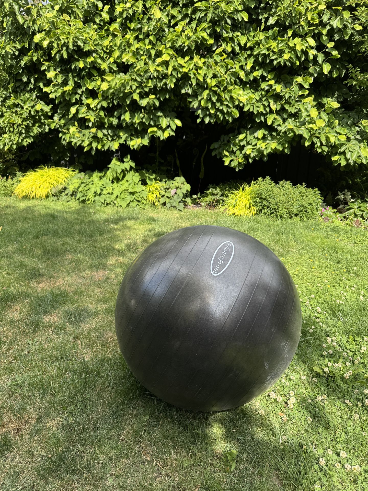 26 Inch Yoga Ball