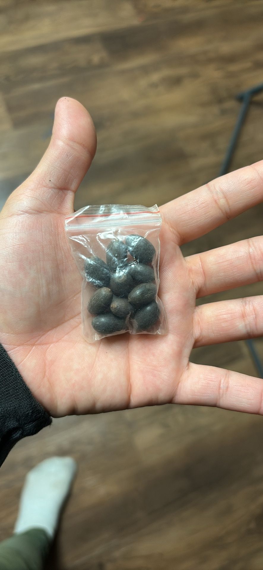 Some Type Of Lotus Seeds