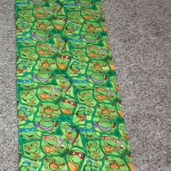 Ninja Turtles Curtain