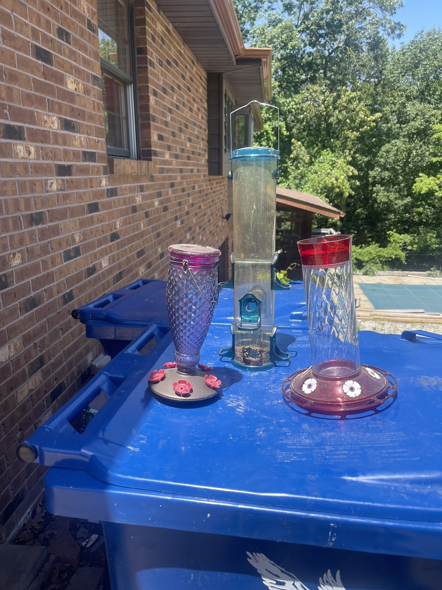Bird Feeders