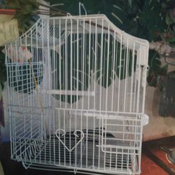 Bird Cage