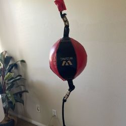 Boxing Bag 