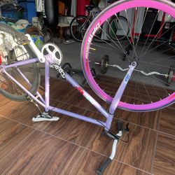 Fixie For Sale