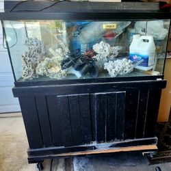Saltwater Aquarium Fish Tank
