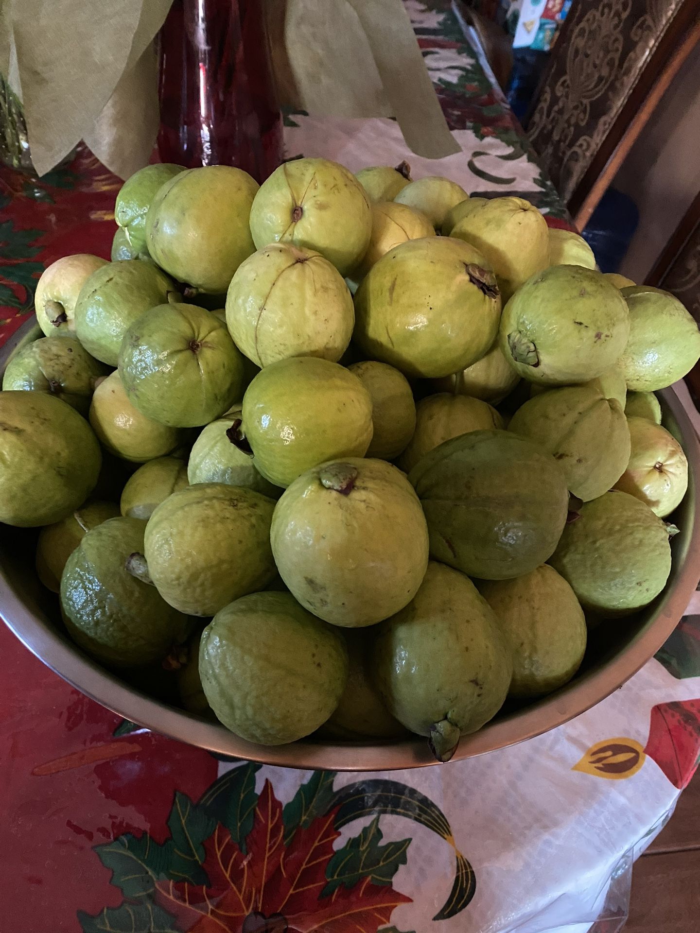 Guavas/ Guayabas