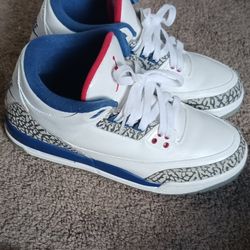 Jordan 3 True Blues