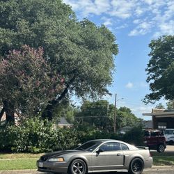 2002 Ford Mustang