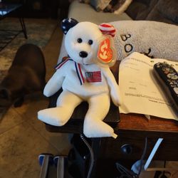 2002 America Beanie Baby Collectible 