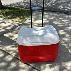 Igloo Cooler