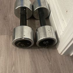 20 Lb Dumbbells