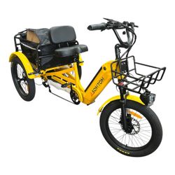Adult 3-Wheel Cargo Ebike WHALE 2.0 with Metal Frame 
