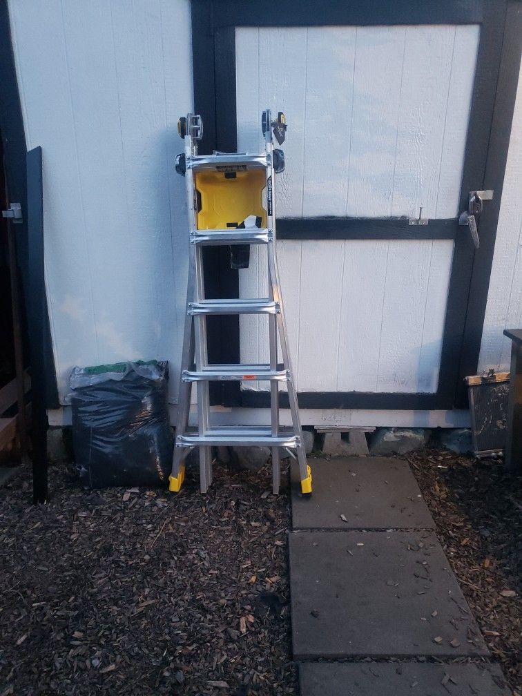 Gorilla Speed Locks Latter 22ft