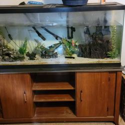 50 Gallon Fish Tank