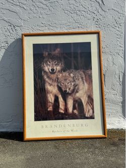 Watchers of the Wolf