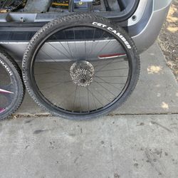 29 Inch Wheel 