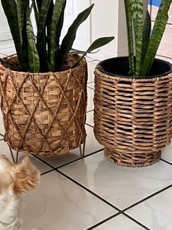 Woven Wicker Plant Basket Planters Set of 2