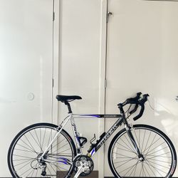 Trek 1000 SL Road Bike 