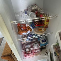 Standing Freezer 