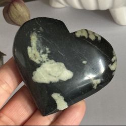 Chrysanthemum Heart 🖤