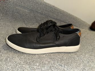 Steve Madden Sneaker Casual