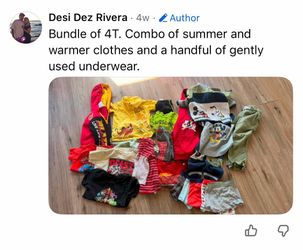 4T Boys Clothing Bundle – Mixed Lot