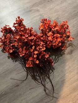 Dried Orange Red Wax Flower Stems Bundle
