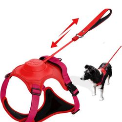 Harness With Retractable Leash