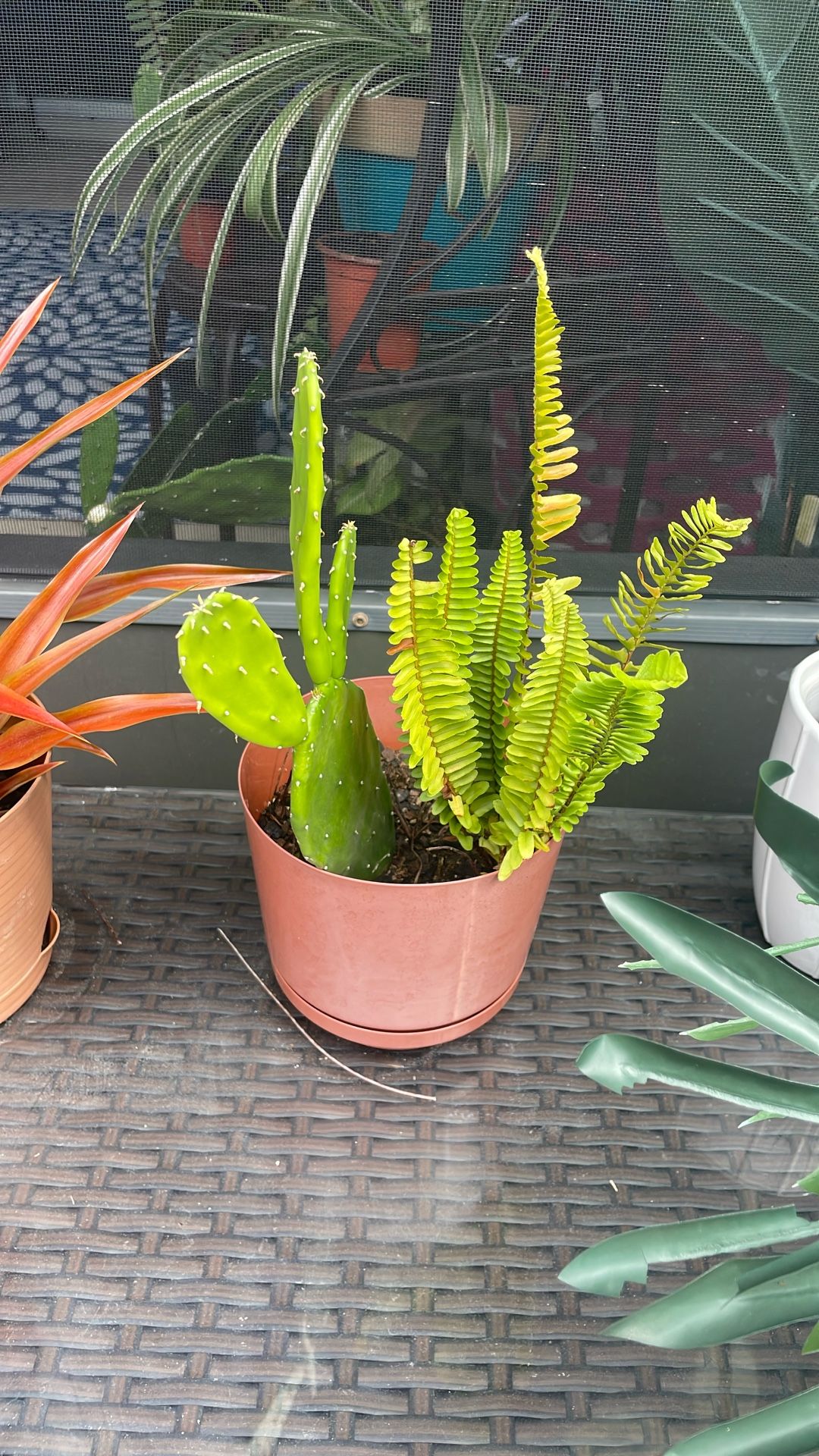 Two Plays In A Pot $5