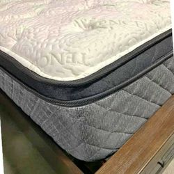 Queen Mattress! Need to Clear Out!