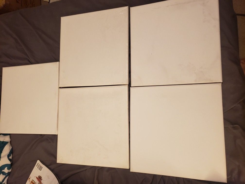 5 Cavases $8 Or Best Offer